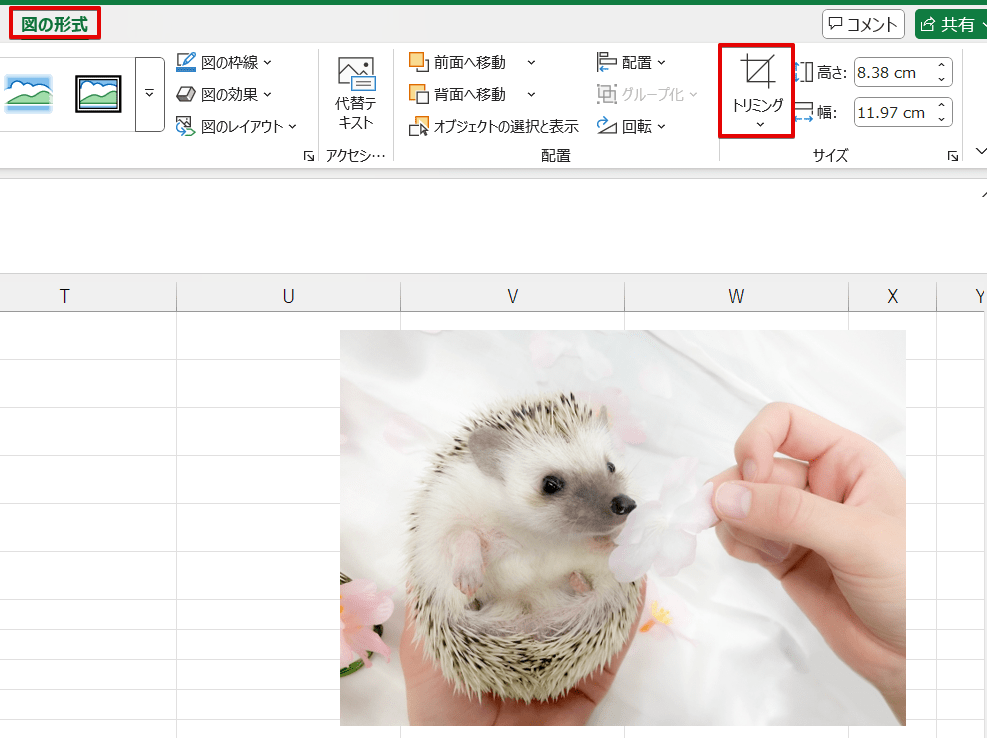 画像はトリミングができる