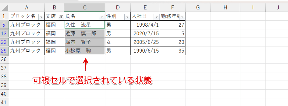 可視セルで選択されている状態