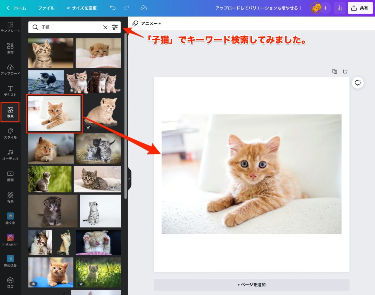 Canvaの「写真」機能でキーワードで絞り込みをしたとき