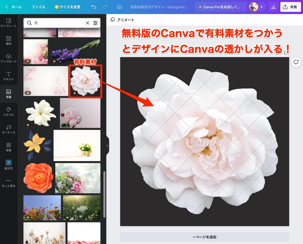 無料版のCnavaで有料素材を使用したときは素材にCanvaの透かしが入る