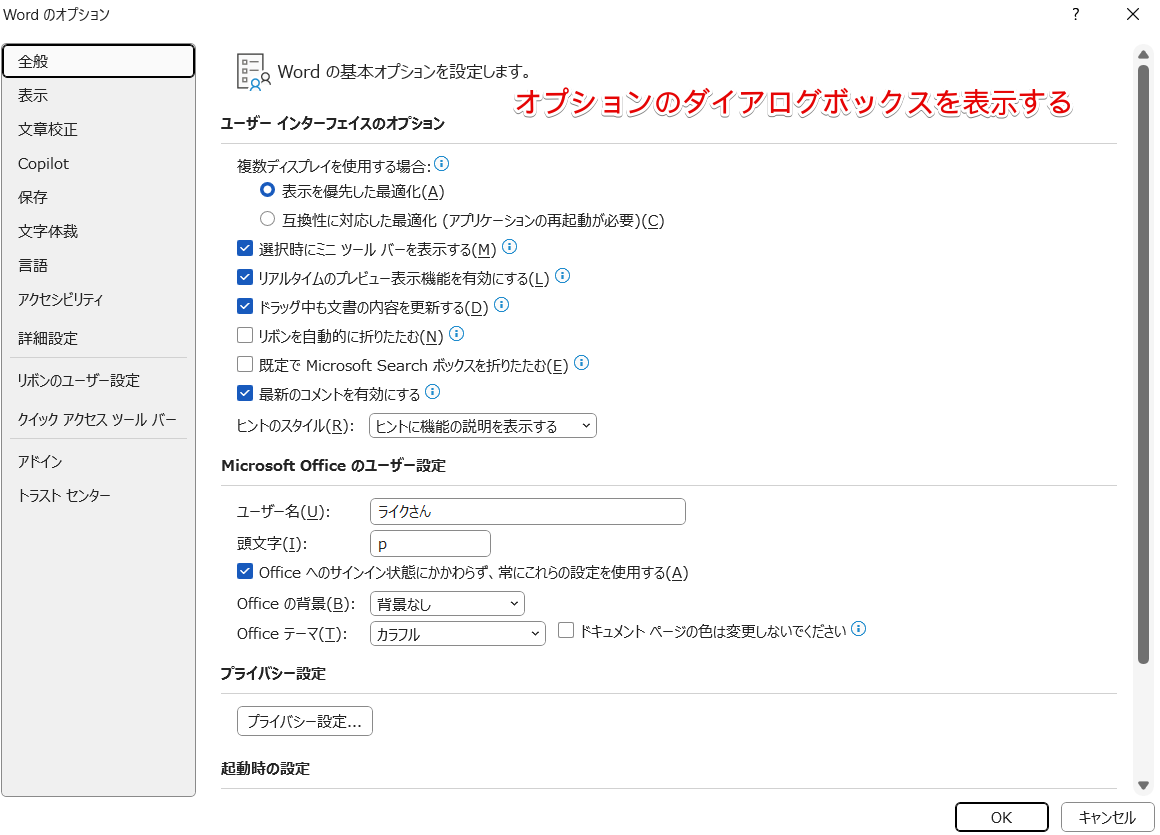 wordのオプションのダイアログボックス