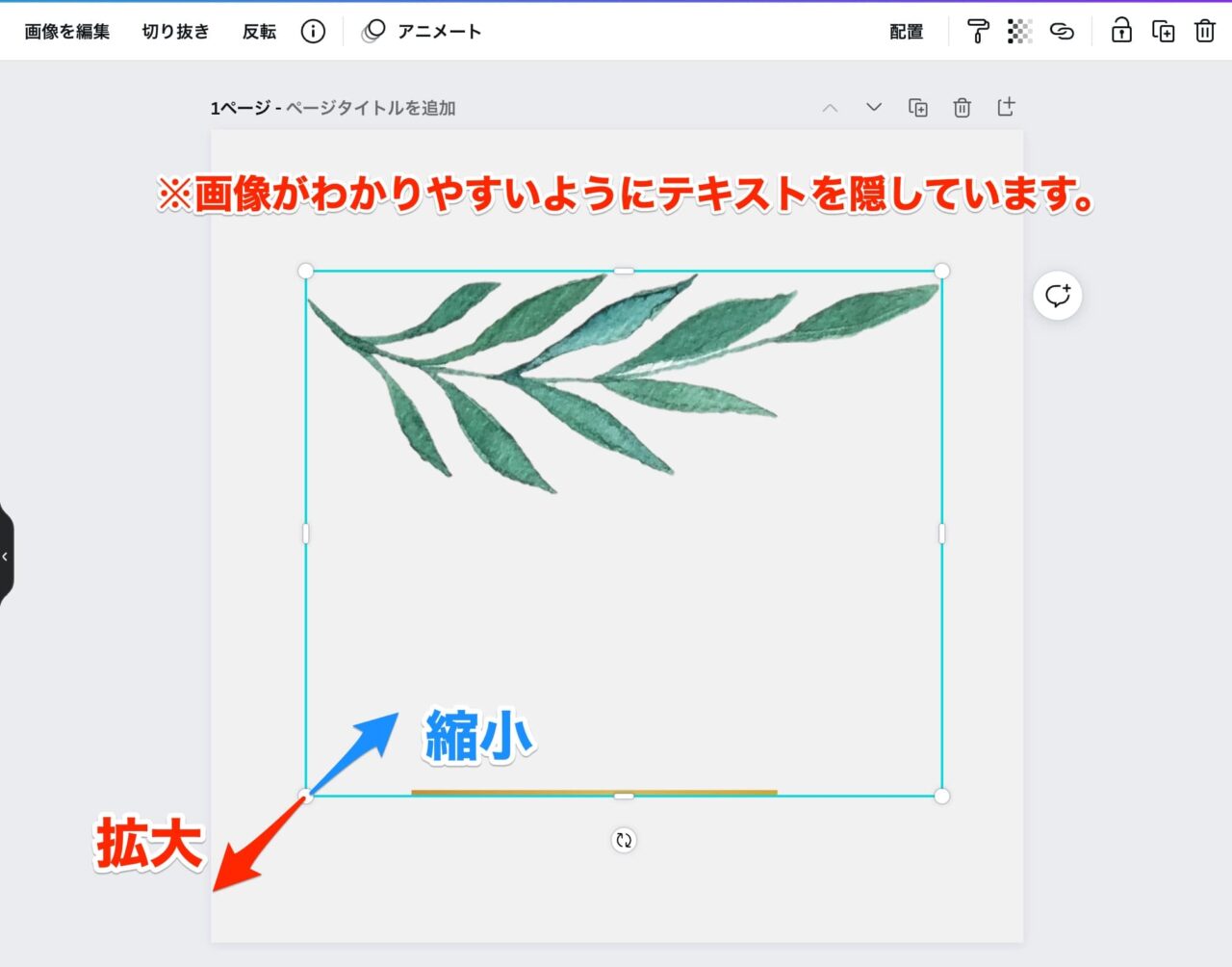 画像の拡大と縮小
