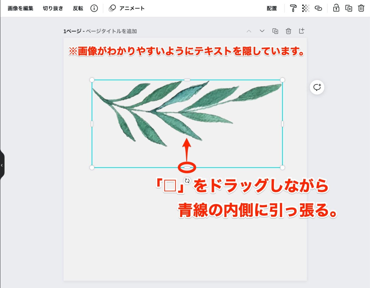 画像のカット